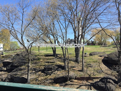 Fort Hill Apartment for rent 3 Bedrooms 1 Bath Boston - $4,200 No Fee